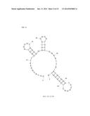 APTAMERS SCREENING METHOD BASED ON GRAPHENE WITHOUT TARGET IMMOBILIZATION     AND THE APTAMERS OBTAINED FROM THE METHOD diagram and image