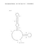 APTAMERS SCREENING METHOD BASED ON GRAPHENE WITHOUT TARGET IMMOBILIZATION     AND THE APTAMERS OBTAINED FROM THE METHOD diagram and image