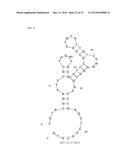 APTAMERS SCREENING METHOD BASED ON GRAPHENE WITHOUT TARGET IMMOBILIZATION     AND THE APTAMERS OBTAINED FROM THE METHOD diagram and image