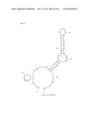 APTAMERS SCREENING METHOD BASED ON GRAPHENE WITHOUT TARGET IMMOBILIZATION     AND THE APTAMERS OBTAINED FROM THE METHOD diagram and image