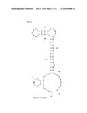 APTAMERS SCREENING METHOD BASED ON GRAPHENE WITHOUT TARGET IMMOBILIZATION     AND THE APTAMERS OBTAINED FROM THE METHOD diagram and image