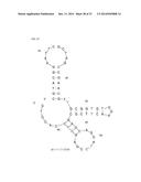 APTAMERS SCREENING METHOD BASED ON GRAPHENE WITHOUT TARGET IMMOBILIZATION     AND THE APTAMERS OBTAINED FROM THE METHOD diagram and image