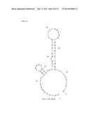 APTAMERS SCREENING METHOD BASED ON GRAPHENE WITHOUT TARGET IMMOBILIZATION     AND THE APTAMERS OBTAINED FROM THE METHOD diagram and image