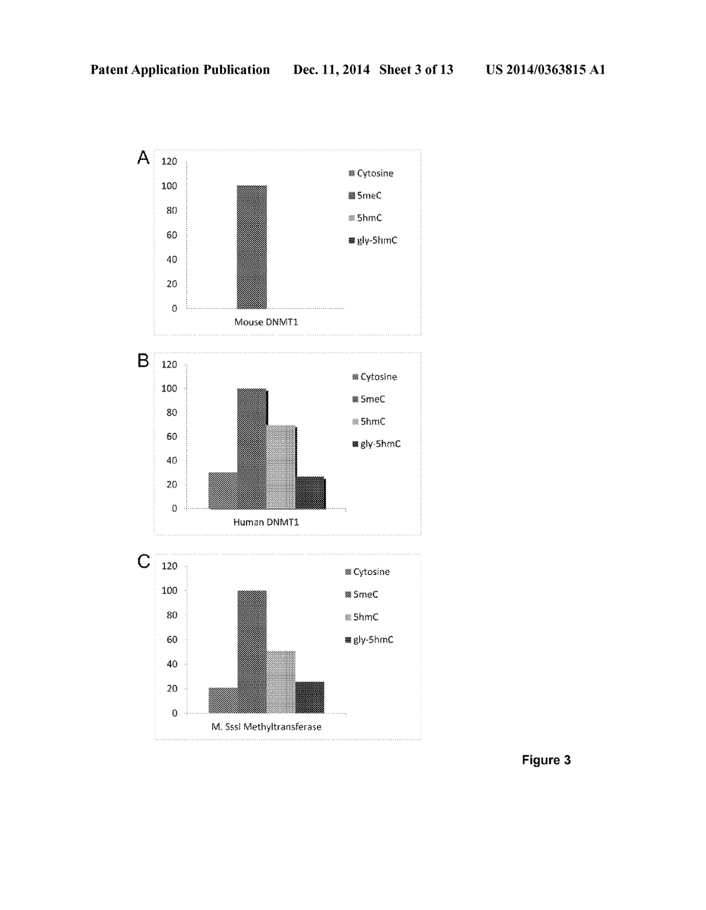 METHODS AND KITS FOR DETECTION OF METHYLATION STATUS - diagram, schematic, and image 04