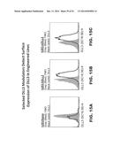 DLL3 MODULATORS AND METHODS OF USE diagram and image