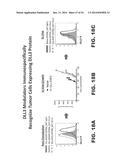 DLL3 MODULATORS AND METHODS OF USE diagram and image