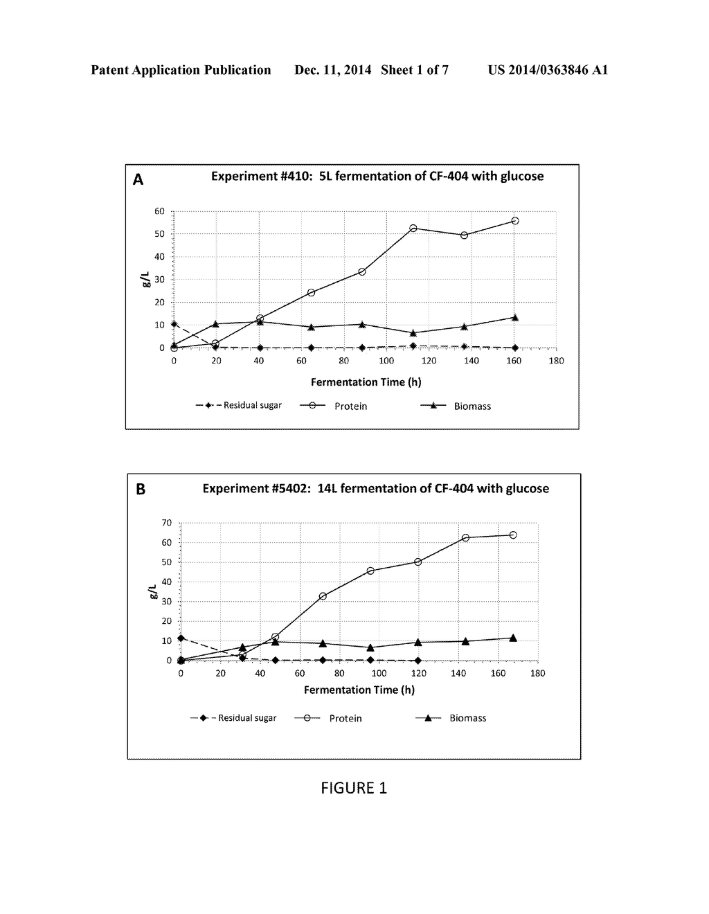 PROCESS FOR PRODUCING CELLULASE MIXTURES FROM MYCELIOPHTHORA AND RELATED     ORGANISMS - diagram, schematic, and image 02