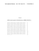 METHODS FOR PRODUCING HIGH LEVELS OF CARBOXYLIC ACIDS BY LIGNOCELLULOSIC     BIOMASS PROCESSING diagram and image