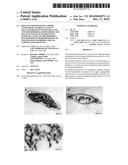 PROCESS FOR OBTAINING COPPER NANOPARTICLES FROM A FUNGUS SELECTED BETWEEN     HYPOCREA LIXII AND TRICHODERMA KONINGIOPSIS AND USE OF FUNGI SELECTED     BETWEEN HYPOCREA LIXII AND TRICHODERMA KONINGIOPSIS IN BIOREMEDIATION OF     WASTEWATER AND PRODUCTION OF COPPER NANOPARTICLES diagram and image