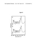 PROCESS FOR OBTAINING COPPER NANOPARTICLES FROM A FUNGUS SELECTED BETWEEN     HYPOCREA LIXII AND TRICHODERMA KONINGIOPSIS AND USE OF FUNGI SELECTED     BETWEEN HYPOCREA LIXII AND TRICHODERMA KONINGIOPSIS IN BIOREMEDIATION OF     WASTEWATER AND PRODUCTION OF COPPER NANOPARTICLES diagram and image