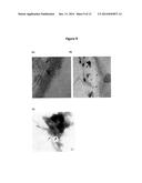 PROCESS FOR OBTAINING COPPER NANOPARTICLES FROM A FUNGUS SELECTED BETWEEN     HYPOCREA LIXII AND TRICHODERMA KONINGIOPSIS AND USE OF FUNGI SELECTED     BETWEEN HYPOCREA LIXII AND TRICHODERMA KONINGIOPSIS IN BIOREMEDIATION OF     WASTEWATER AND PRODUCTION OF COPPER NANOPARTICLES diagram and image