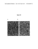 PROCESS FOR OBTAINING COPPER NANOPARTICLES FROM A FUNGUS SELECTED BETWEEN     HYPOCREA LIXII AND TRICHODERMA KONINGIOPSIS AND USE OF FUNGI SELECTED     BETWEEN HYPOCREA LIXII AND TRICHODERMA KONINGIOPSIS IN BIOREMEDIATION OF     WASTEWATER AND PRODUCTION OF COPPER NANOPARTICLES diagram and image