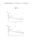 PROCESS FOR OBTAINING COPPER NANOPARTICLES FROM A FUNGUS SELECTED BETWEEN     HYPOCREA LIXII AND TRICHODERMA KONINGIOPSIS AND USE OF FUNGI SELECTED     BETWEEN HYPOCREA LIXII AND TRICHODERMA KONINGIOPSIS IN BIOREMEDIATION OF     WASTEWATER AND PRODUCTION OF COPPER NANOPARTICLES diagram and image