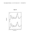 PROCESS FOR OBTAINING COPPER NANOPARTICLES FROM A FUNGUS SELECTED BETWEEN     HYPOCREA LIXII AND TRICHODERMA KONINGIOPSIS AND USE OF FUNGI SELECTED     BETWEEN HYPOCREA LIXII AND TRICHODERMA KONINGIOPSIS IN BIOREMEDIATION OF     WASTEWATER AND PRODUCTION OF COPPER NANOPARTICLES diagram and image