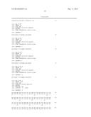 NOVEL DNA POLYMERASE diagram and image