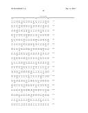 NOVEL DNA POLYMERASE diagram and image