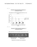 COMPOSITION FOR IMPROVING RESISTANCE TO ENVIRONMENTAL STRESS OF PLANT AND     METHOD FOR IMPROVING RESISTANCE TO ENVIRONMENTAL STRESS OF PLANT diagram and image