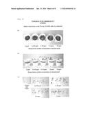 COMPOSITION FOR IMPROVING RESISTANCE TO ENVIRONMENTAL STRESS OF PLANT AND     METHOD FOR IMPROVING RESISTANCE TO ENVIRONMENTAL STRESS OF PLANT diagram and image