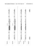 MULTI-SAMPLE INDEXING FOR MULTIPLEX GENOTYPING diagram and image