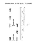 METHOD AND PHARMACEUTICAL COMPOSITION FOR HAIR GROWTH diagram and image