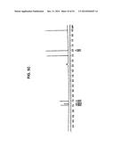 SALTS OF POTASSIUM ATP CHANNEL OPENERS AND USES THEREOF diagram and image