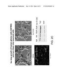CHEMICAL INDUCERS OF NEUROGENESIS diagram and image
