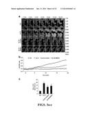 CHEMICAL INDUCERS OF NEUROGENESIS diagram and image