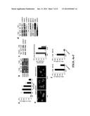 CHEMICAL INDUCERS OF NEUROGENESIS diagram and image