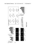 CHEMICAL INDUCERS OF NEUROGENESIS diagram and image