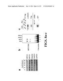 CHEMICAL INDUCERS OF NEUROGENESIS diagram and image