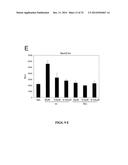 CHEMICAL INDUCERS OF NEUROGENESIS diagram and image