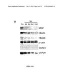 CHEMICAL INDUCERS OF NEUROGENESIS diagram and image