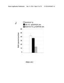 CHEMICAL INDUCERS OF NEUROGENESIS diagram and image