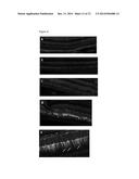 PROMOTERS, EXPRESSION CASSETTES, VECTORS, KITS, AND METHODS FOR THE     TREATMENT OF ACHROMATOPSIA  AND OTHER DISEASES diagram and image