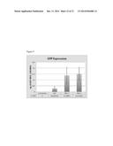 PROMOTERS, EXPRESSION CASSETTES, VECTORS, KITS, AND METHODS FOR THE     TREATMENT OF ACHROMATOPSIA  AND OTHER DISEASES diagram and image