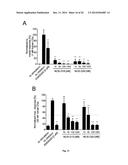 New C5a Binding Nucleic Acids diagram and image