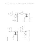 New C5a Binding Nucleic Acids diagram and image