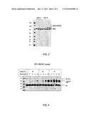 FUNCTIONALIZING REAGENTS AND THEIR USES diagram and image