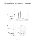 FUNCTIONALIZING REAGENTS AND THEIR USES diagram and image