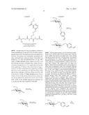 FUNCTIONALIZING REAGENTS AND THEIR USES diagram and image