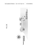 PROTEIN ENRICHED MICROVESICLES AND METHODS OF MAKING AND USING THE SAME diagram and image