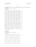 BRTCP24 GENE USEFUL FOR CONTROLLING GROWTH OF CABBAGE AND APPLICATION     THEREOF diagram and image