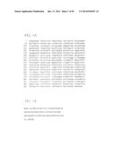 PSCA: PROSTATE STEM CELL ANTIGEN AND USES THEREOF diagram and image