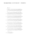 PSCA: PROSTATE STEM CELL ANTIGEN AND USES THEREOF diagram and image