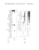 PSCA: PROSTATE STEM CELL ANTIGEN AND USES THEREOF diagram and image