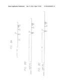 PSCA: PROSTATE STEM CELL ANTIGEN AND USES THEREOF diagram and image