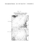 PSCA: PROSTATE STEM CELL ANTIGEN AND USES THEREOF diagram and image