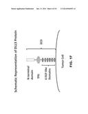 DLL3 MODULATORS AND METHODS OF USE diagram and image