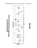 DLL3 MODULATORS AND METHODS OF USE diagram and image