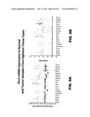 DLL3 MODULATORS AND METHODS OF USE diagram and image